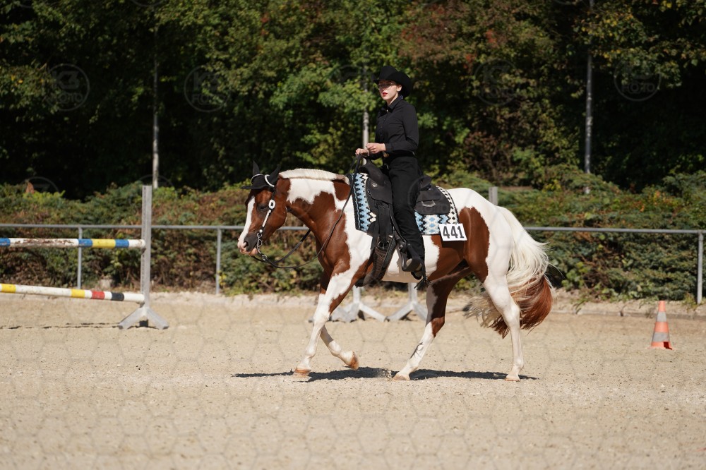s_A_908105.JPG